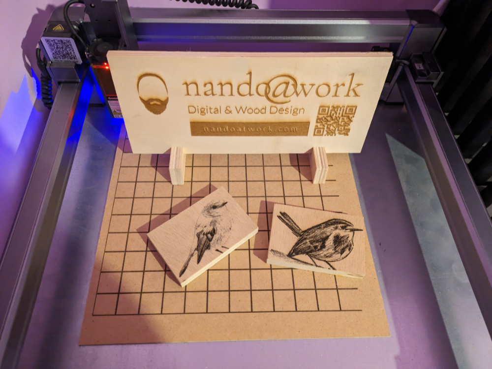 Laser incisioni di pettirossi