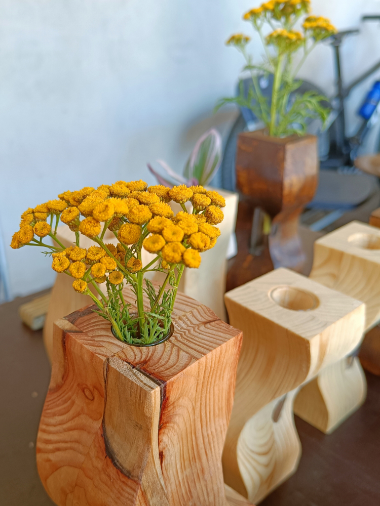 Diversi Solitários in esposizione