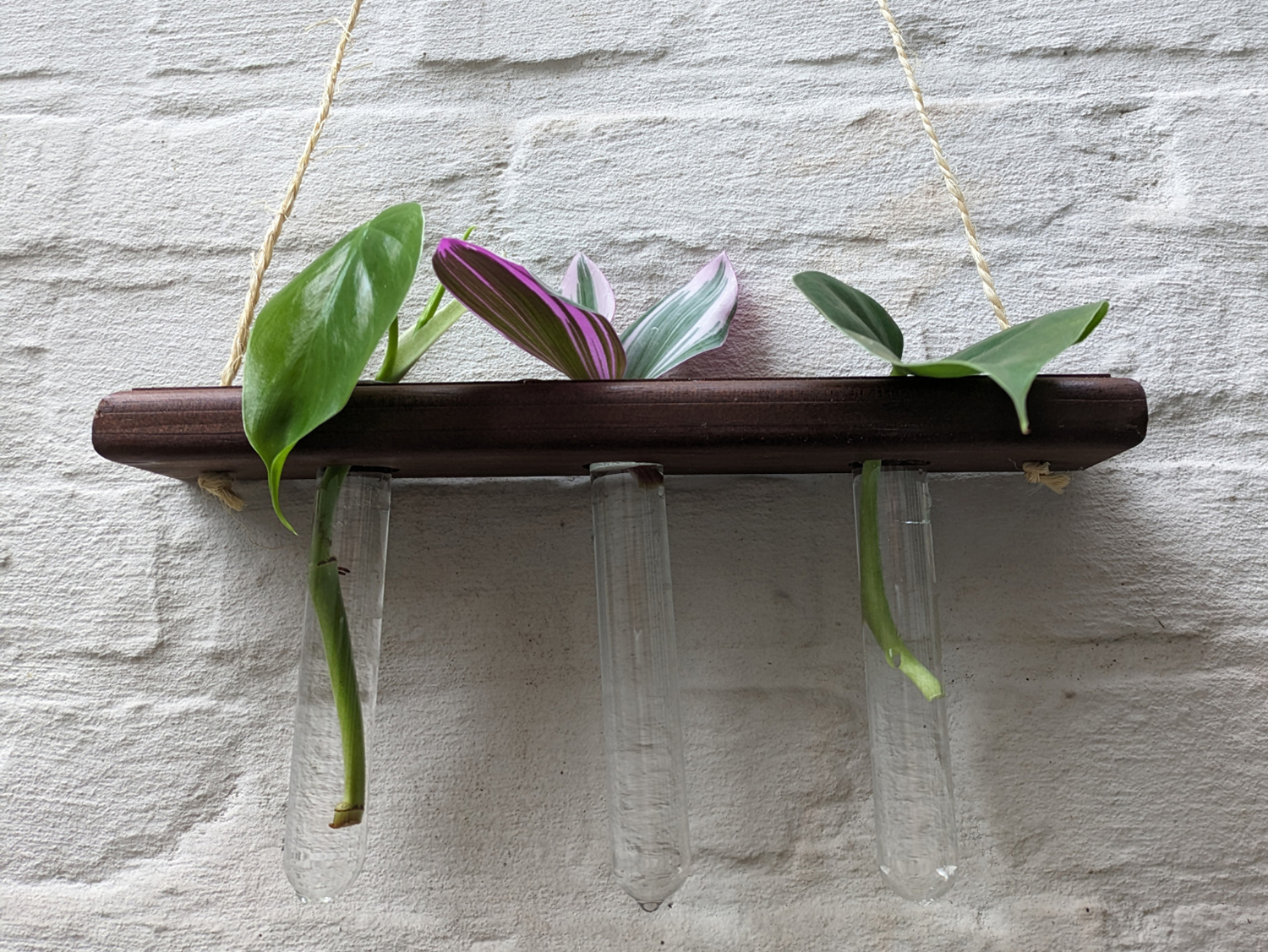 Vista frontale del triple planter